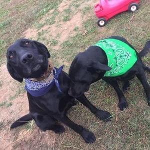 Meet your Posher, Clay